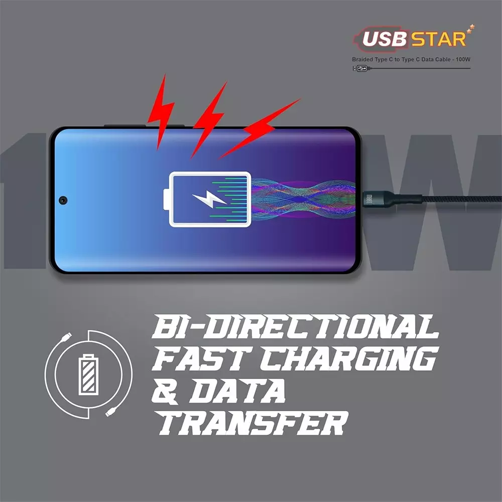 Havells 1 m USB Star Data Cable Type C to Type C Braided Design, 5 A, 100 W, AHNREHB001