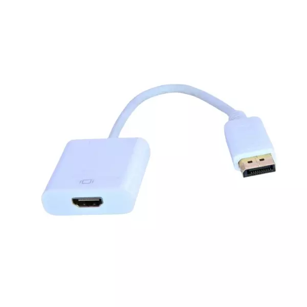 SETMI INDIA Big DisplayPort Male to HDMI Female Adapter Plastic Upto 1080p or Higher Resolution, White