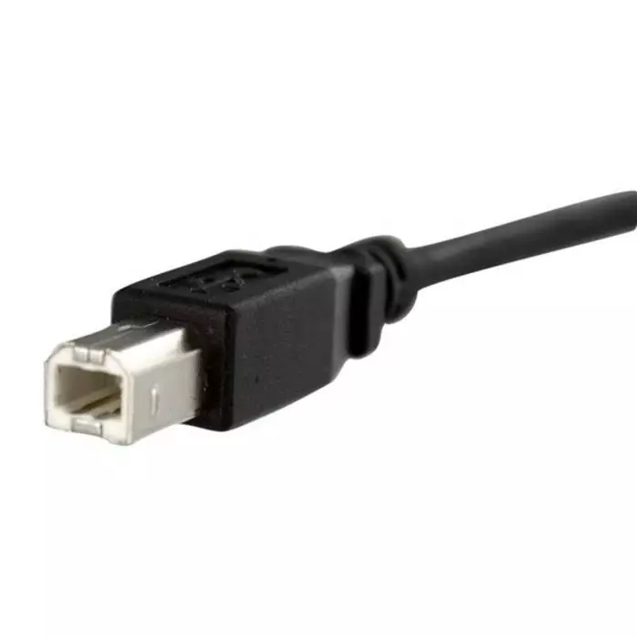 StarTech.com Male USB B to Female USB B Cable 480 Mbps USB 2.0 300mm, USBPNLBFBM1