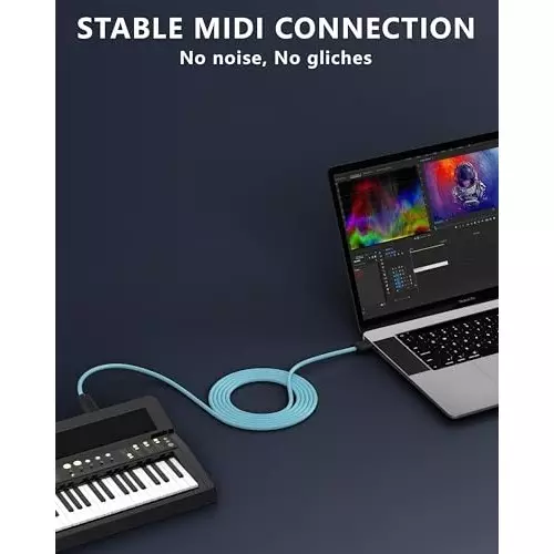 FEDUS USB A Male To USB B 2.0 Male Cord Cable Cyan and Black 3 m