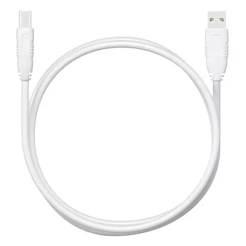 FEDUS A Male to B Male Cable White 5 m