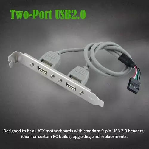 PremiumAV 2-Port USB 2.0 Header Cable Adapter Female Screw Mount to 9-Pin Motherboard Header for Desktop PC