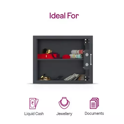 Godrej NX Pro Plus Digi+ Bio Digital Home Locker Ebony 30 L