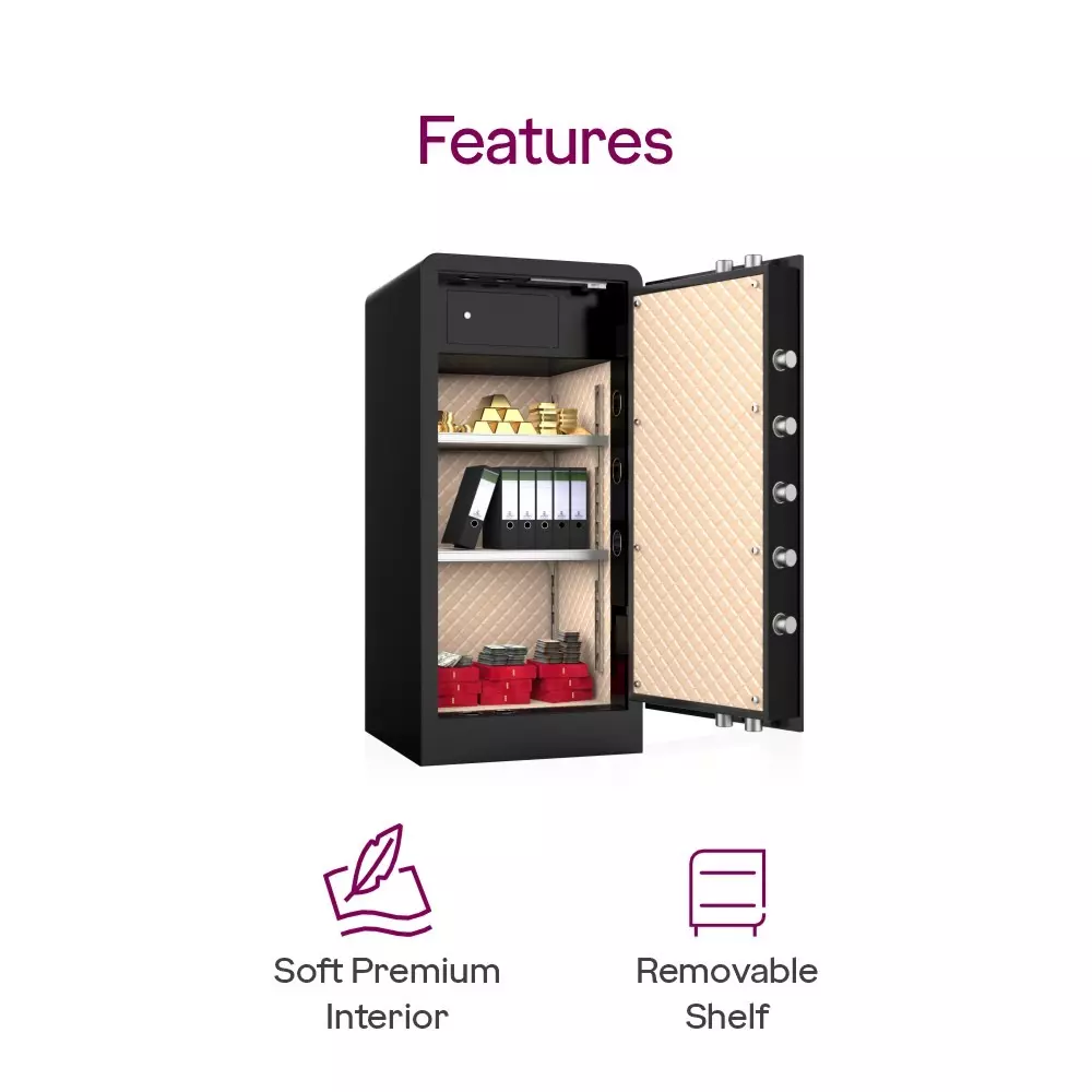Godrej Home Locker NX Advanced 210 L Ebony Key + Digital + Biometric
