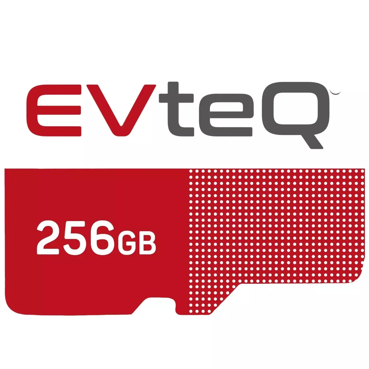 EVTeq MicroSDXC 256 GB Storage Capacity Up to 100 MB/s High-Performance Data Transfer, 4K Video Recording, EV MSD 256 GB-2
