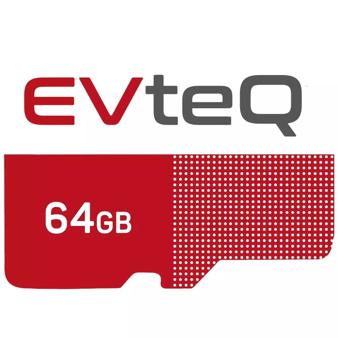 EVTeq MicroSDXC 64 GB Storage Capacity Up to 100 MB/s High-Performance Data Transfer, 4K Video Recording, EV MSD 64 GB-2