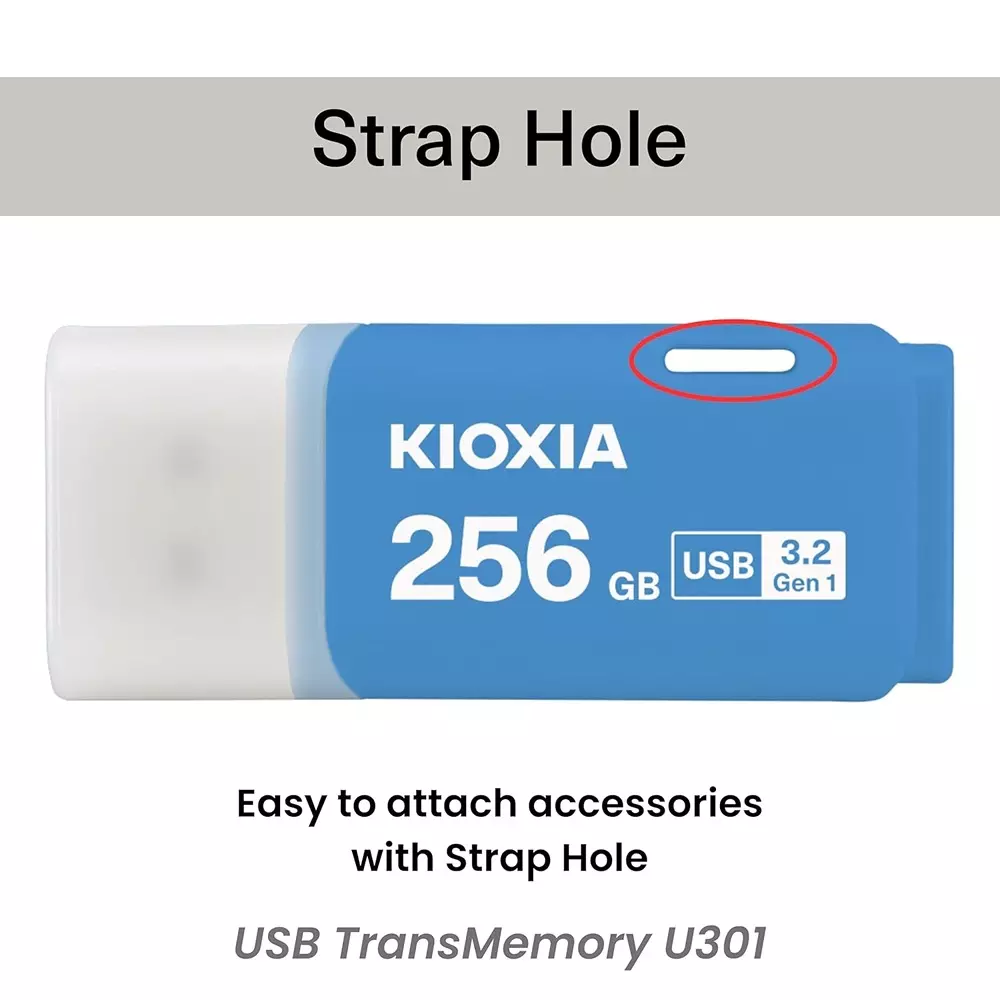 KIOXIA Flash Pan Drive 256 GB Storage USB 3.2 Blue for Desktop & Laptop, U301