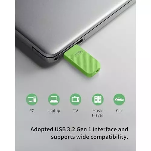 Acer 128 GB Pen Drive USB 3.2 Gen 1 Hardware Interface 120 Mbps Read Speed Black, UP300 G