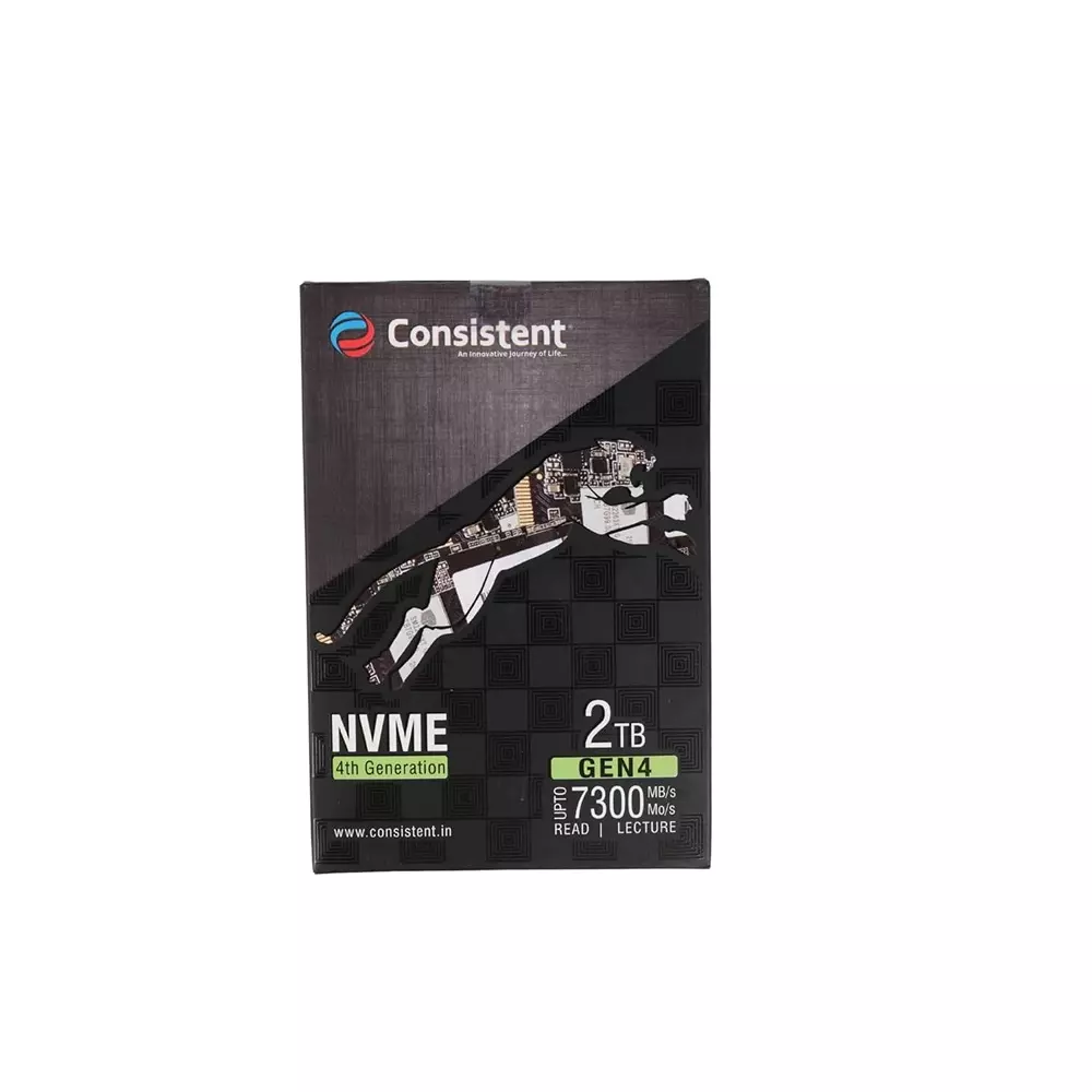 Consistent Internal SSD M.2 (2280) 2 TB with PCIe 4.0 NVMe (PCIe Gen 4.0 x 4) Interface, CTNVMe0024G