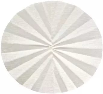 Whatman 10312753 Cellulose Dia 320 mm Qualitative Folded Filter Paper