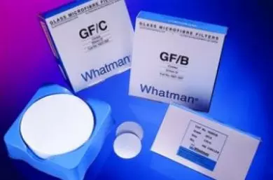 Whatman 90 mm Grade GF 10 Glass Filter With Organic Binder 10370305