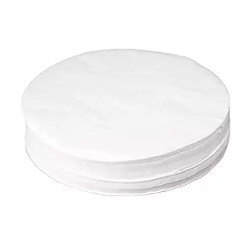 Axiva 250013R 1.3 cm 0.2 µm PTFE Hydrophilic Membrane Filter (Pack of 100)