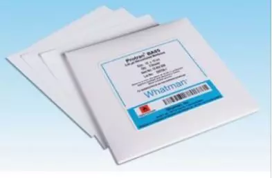 Whatman Mixed Cellulose Ester Circle WME Range, Gridded Membrane, Series 7141