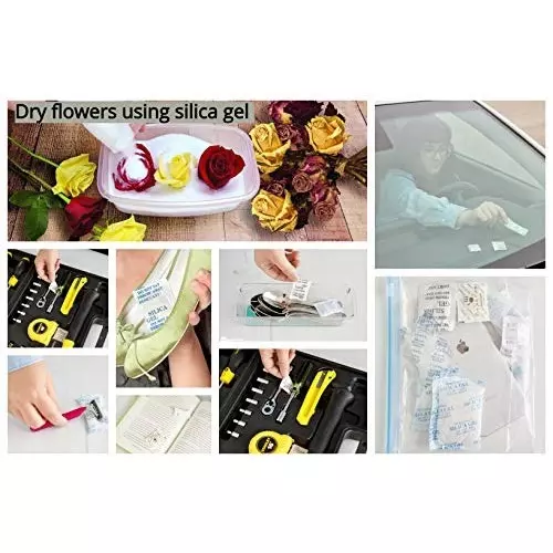 ELYSIAN 50 g Each x 10 Silica Gel Pouch for Absorbing Moisture in Clothes, Storage Compartments & More (Pack of 500 g)