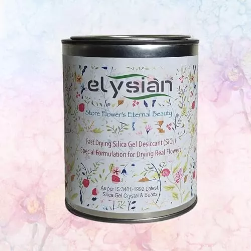 ELYSIAN 500 g Silica Gel Loose Powder in White Color for Absorbing Moisture, Drying Flowers