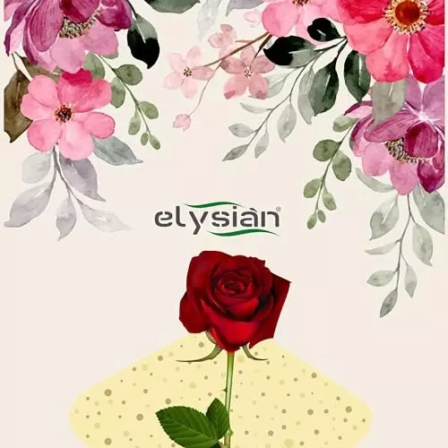 ELYSIAN 500 g Silica Gel Loose Powder in White Color for Absorbing Moisture, Drying Flowers