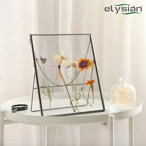 ELYSIAN 500 g Silica Gel Loose Powder in White Color for Absorbing Moisture, Drying Flowers
