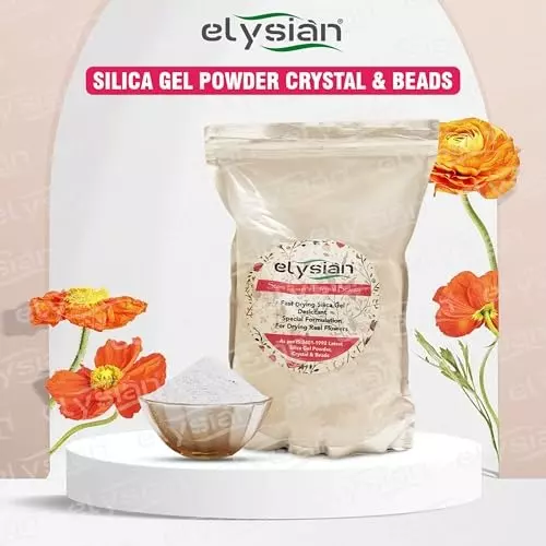 ELYSIAN 250 g Silica Gel Loose Powder in White Color for Absorbing Moisture, Drying Flowers