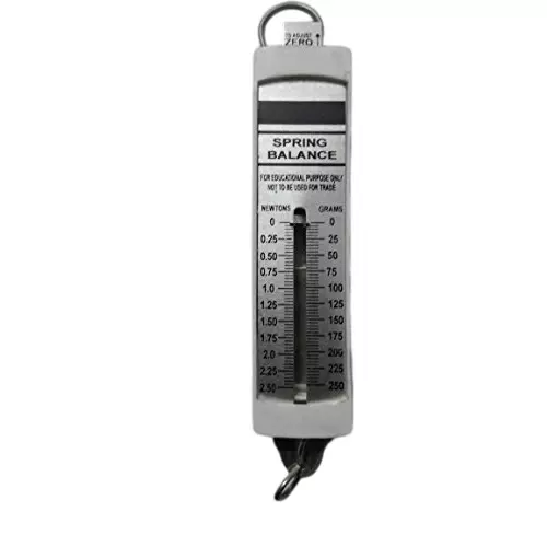 WKM 250 g Dual Transparent Scale Flat Spring Balance KT188CK