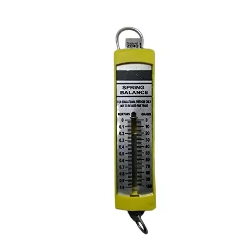 WKM 100 g Dual Transparent Scale Flat Spring Balance KT189CL