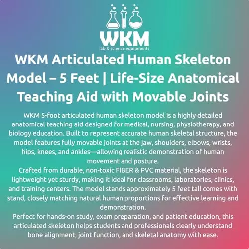 wkm-152-m-5-feet-high-white-pvc-articulated-human-skeleton-on-stand-ktbr386