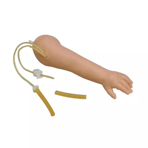 MODELSCART Life Size Child Venipuncture Arm Silicone, Plastic Body for Training Medical Students, RX-HS8