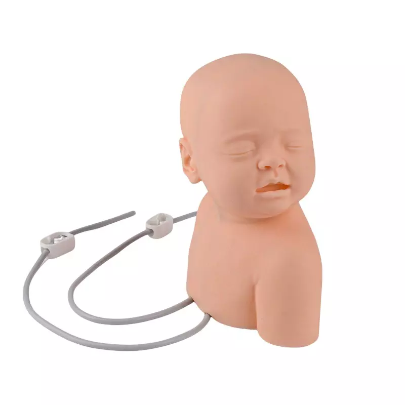 MODELSCART Life Size Neonate Scalp Venipuncture Model Silicone, Plastic Body for Training Medical Students, RX-HS6E