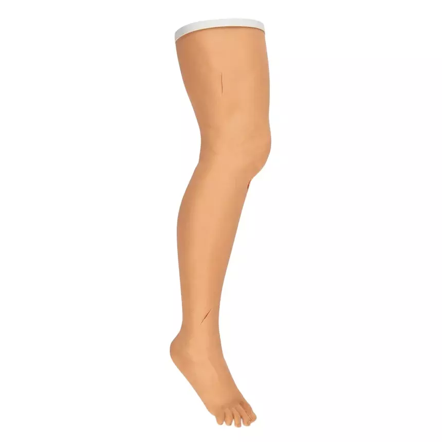 MODELSCART Life Size Advanced Suture Practice Leg Silicone Body for Training Medical Students, RX-LV2