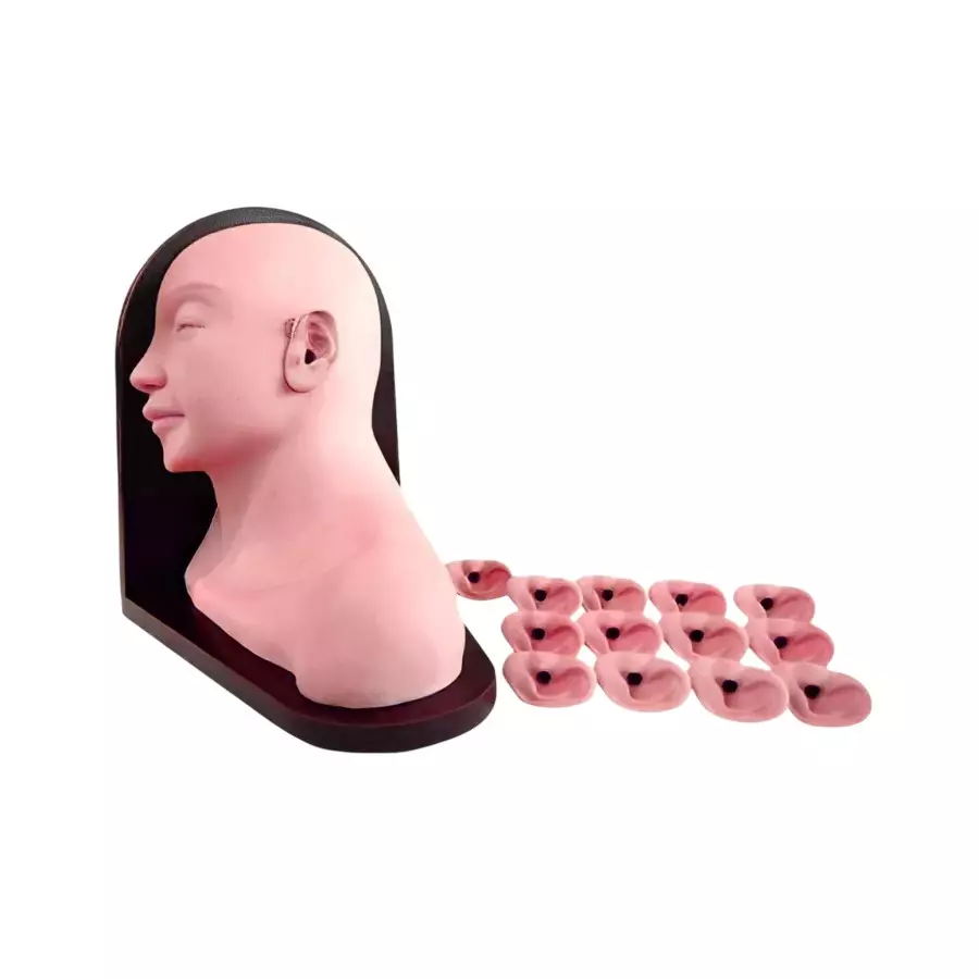 MODELSCART Advanced Ear Inspection Simulator PVC Body for Training Medical Students, RX-LV16