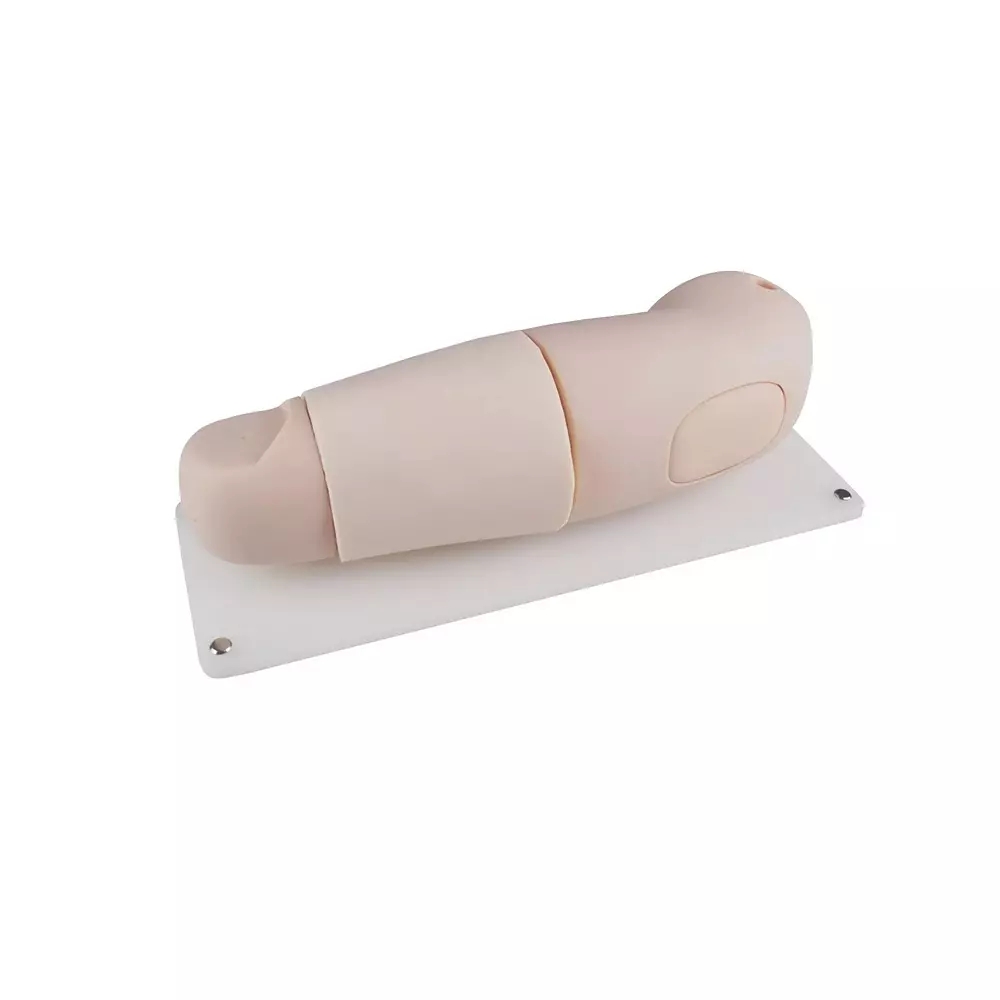 MODELSCART Subcutaneous Embedded Contraception Arm Model, Made of PVC Plastic for Medical Education & Training, RX-F0031
