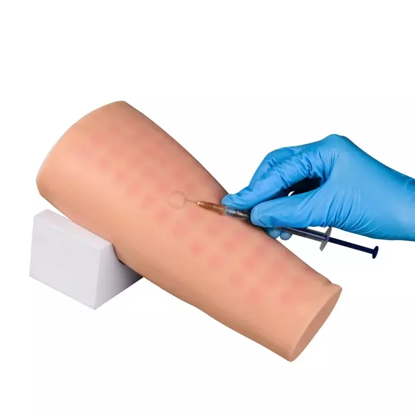 MODELSCART Life Size Intradermal Injection Simulator Silicone Body for Training Medical Students, RX-450