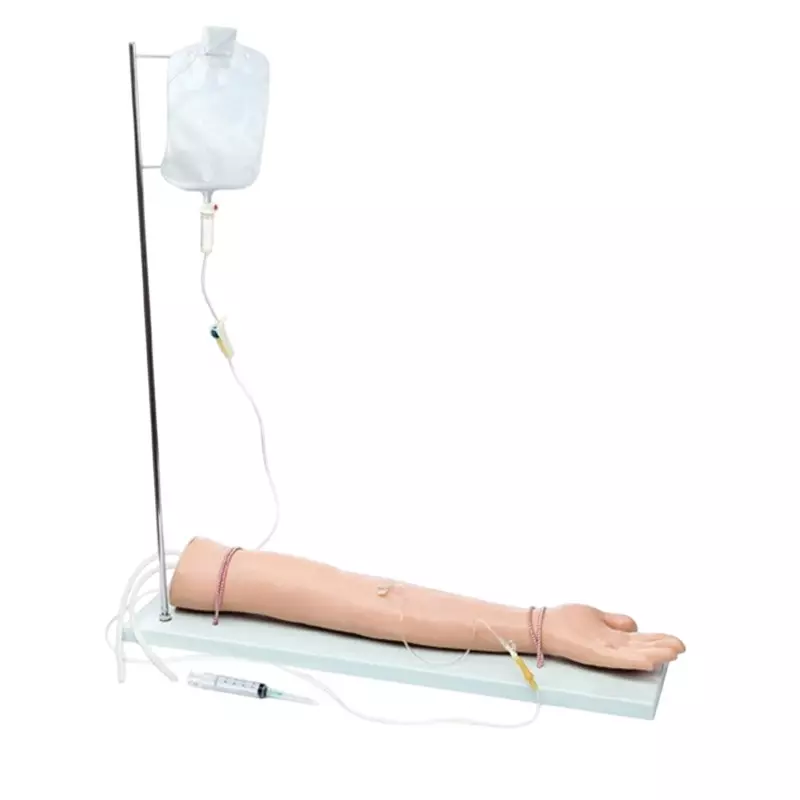 MODELSCART Life Size Injectable Training Arm Model with Set (I) Silicone Body for Training Medical Students, XC-434