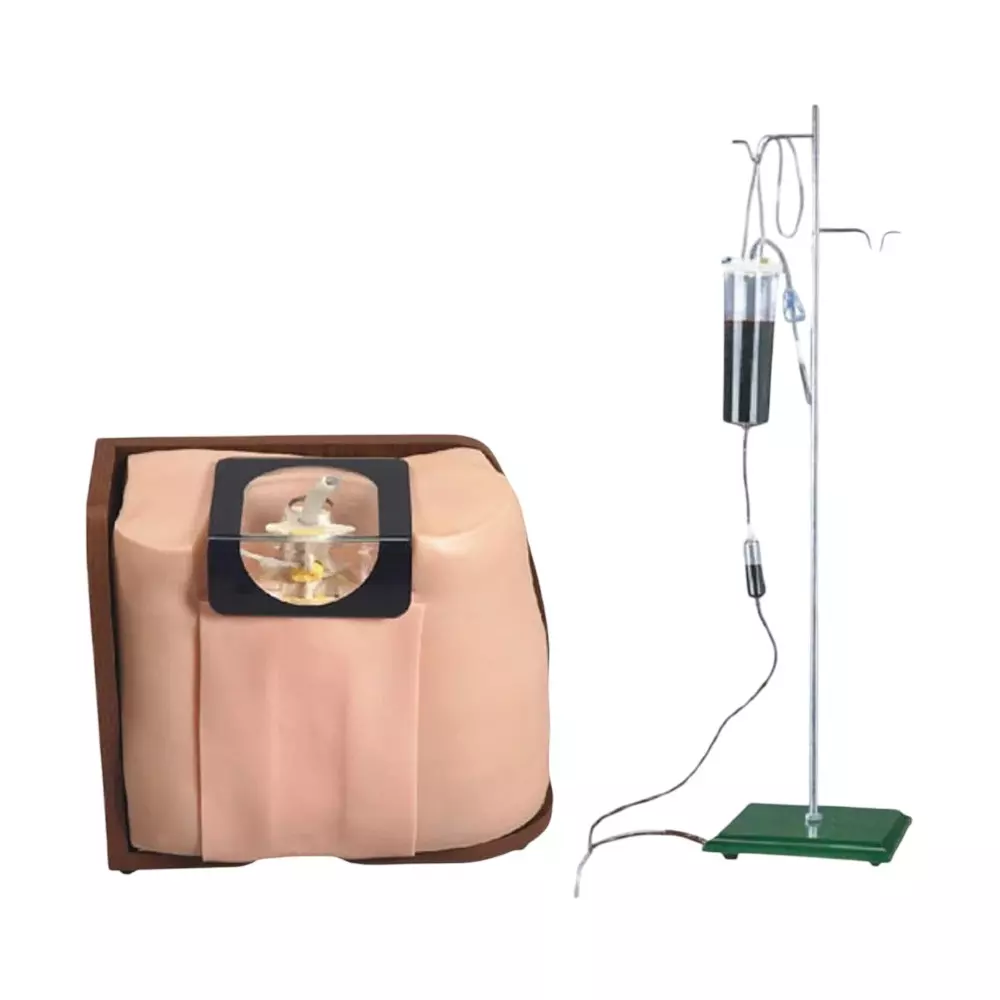 MODELSCART Lumber Puncture Model PVC, Metal Body for Training Medical Students, RX-L60