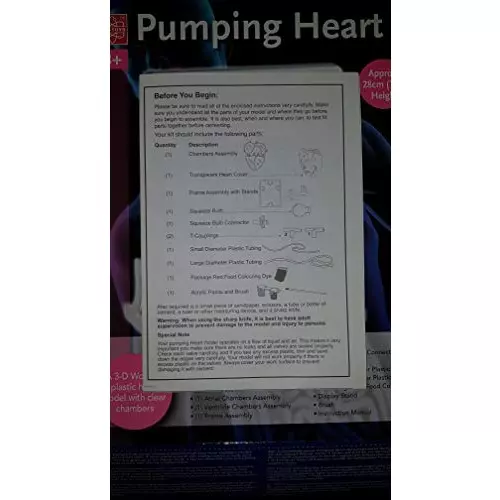 wkm-red-and-white-pvc-pumping-heart-model-for-educational-purpose-kt120t