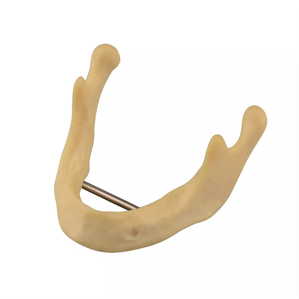 MODELSCART Life Size Drilling/Implant Practice Mandible Model for Medical Education & Training, RX-4034