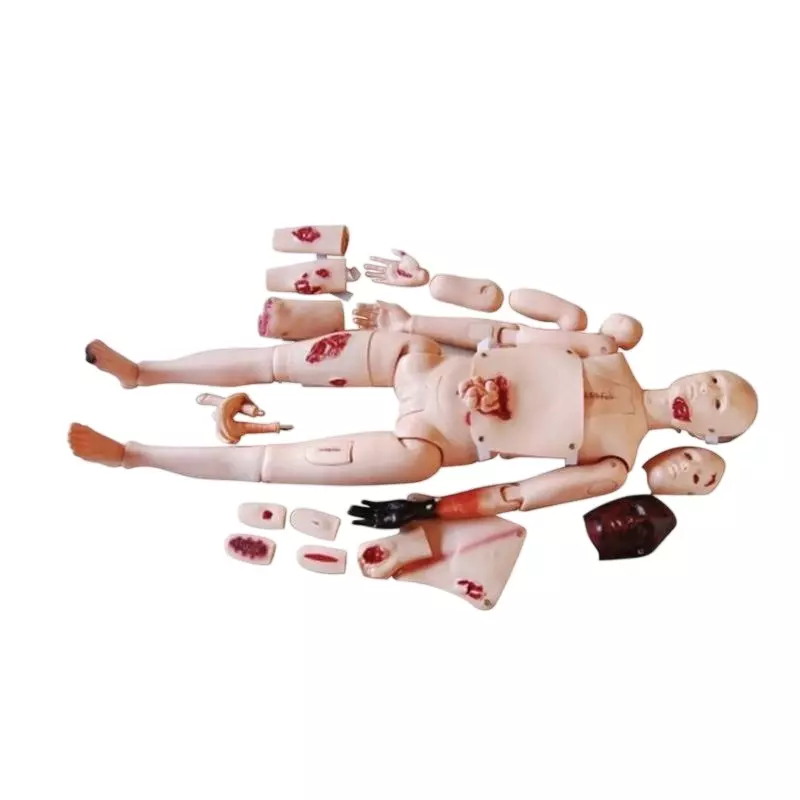 MODELSCART Life Size Advanced Trauma Simulator PVC Body for Training Medical Students, RX-J110