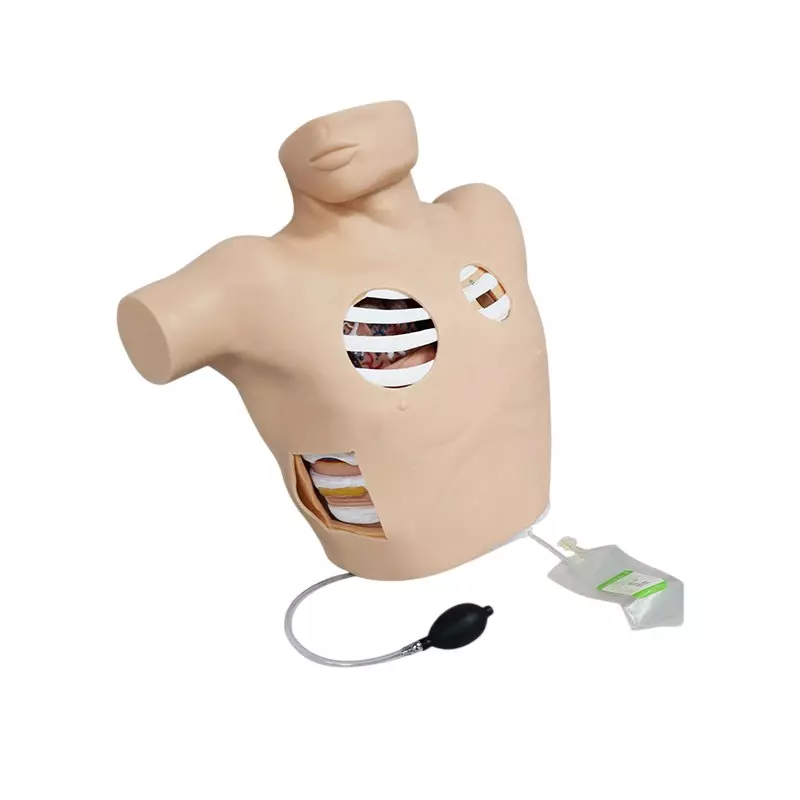 MODELSCART Thoracentesis Drainage Model / Pleural Drainage Simulator Silicone, Plastic Body for Training Medical Students, RX-L67