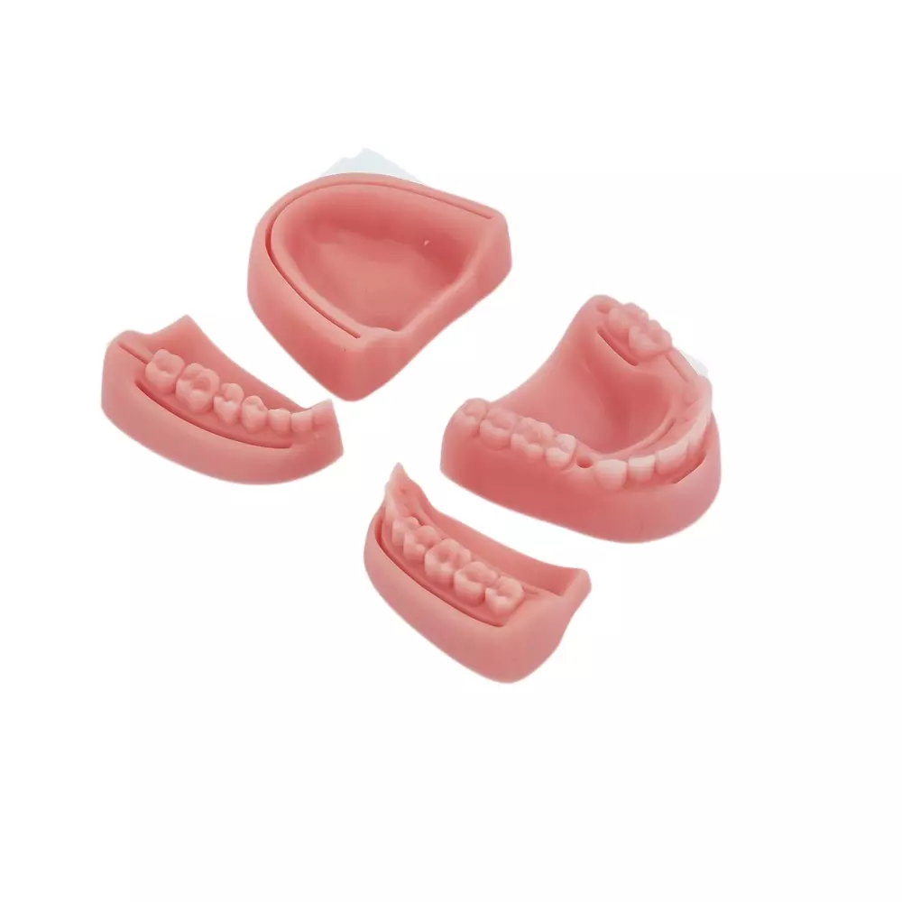 MODELSCART Life Size Dental Suture and Skill Training Pad Silicone Body for Training Medical Students, RX-SST5