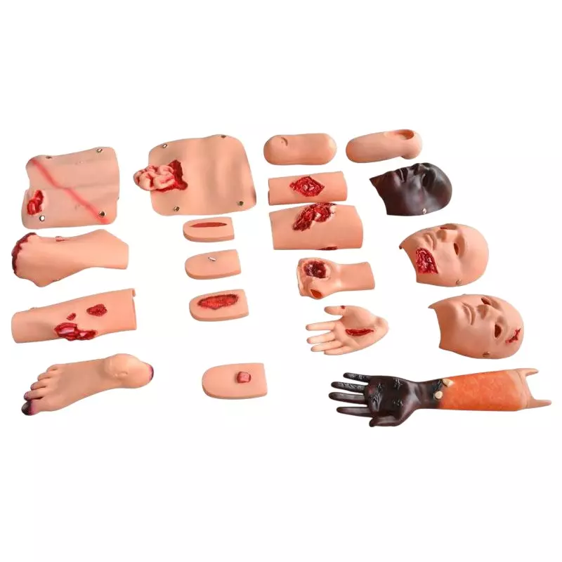 MODELSCART Advanced Trauma Evaluation Model PVC Body for Training Medical Students, RX-FA6805