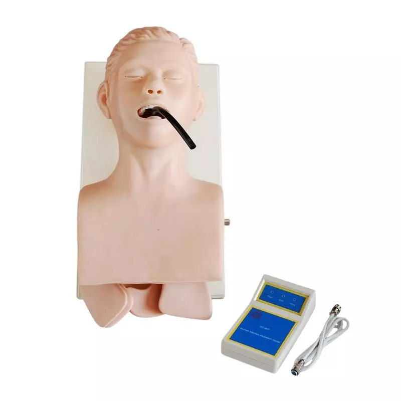 MODELSCART Human Trachea Intubation Model PVC Body for Training Medical Students, XC-407