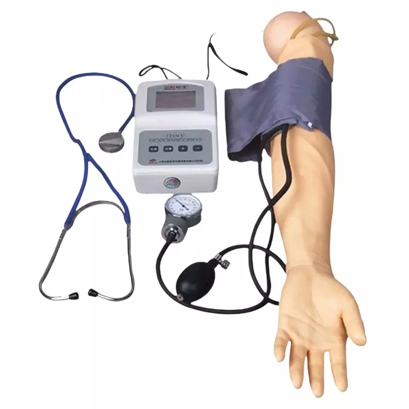 MODELSCART Advanced Blood Pressure Training Arm Silicone, Plastic Body for Training Medical Students, RX-H5