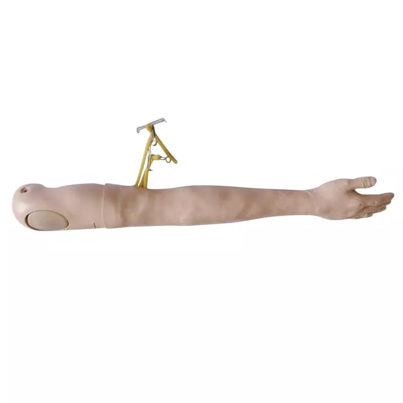 MODELSCART Life Size Multifunctional IV Training Arm Silicone Body for Training Medical Students, XC-446