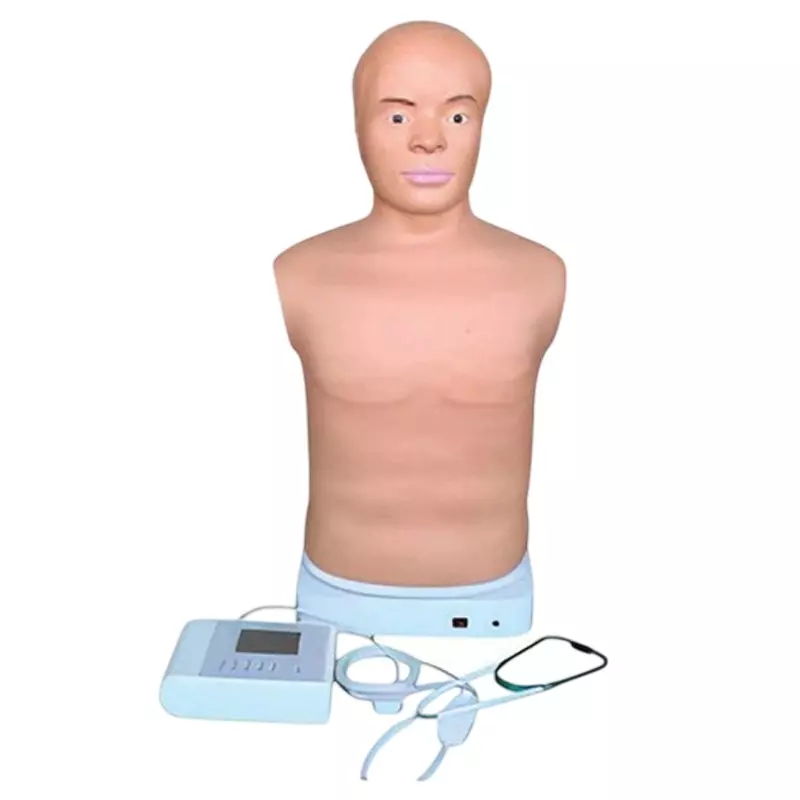 MODELSCART Half Body Adult Auscultation Manikin Male PVC Construction for Training Medical Students, RX-TCZ001