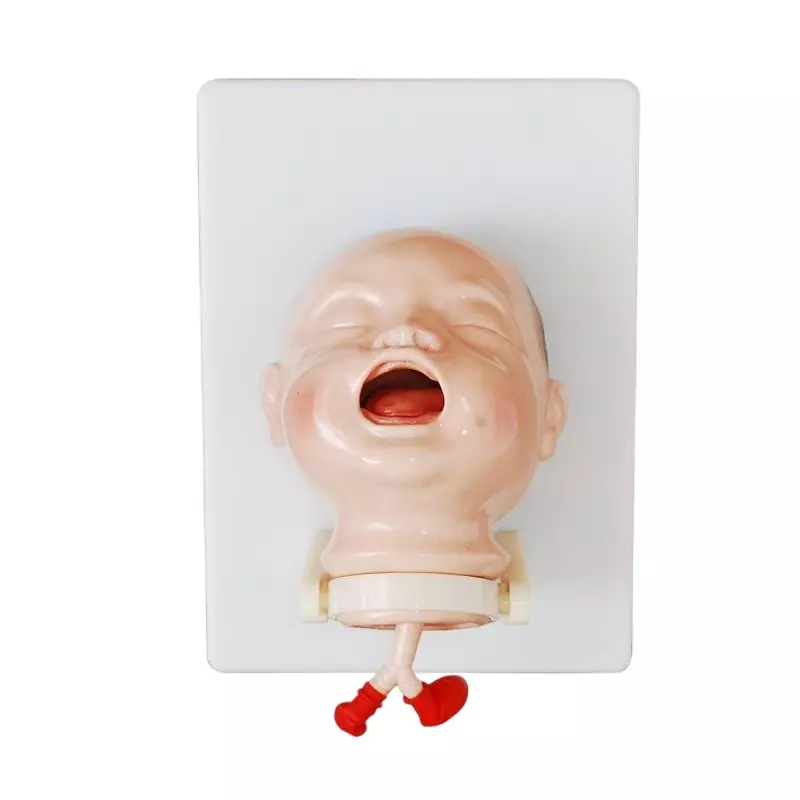 MODELSCART Newborn Intubation Model PVC Body for Training Medical Students, XC-410