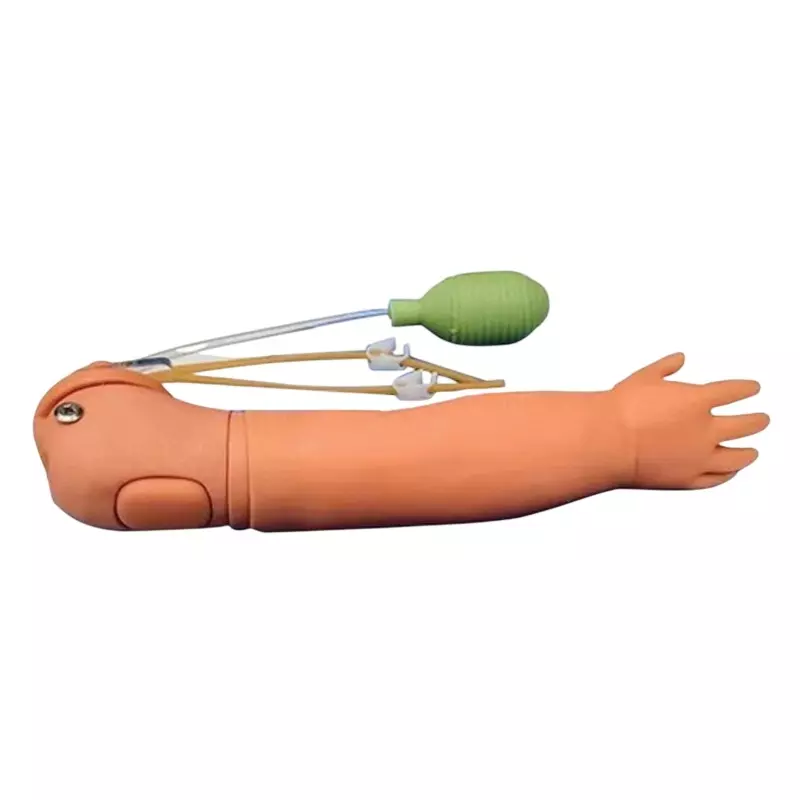 MODELSCART Life Size Child Artery Puncture Arm Silicone, Plastic Body for Training Medical Students, RX-H2034
