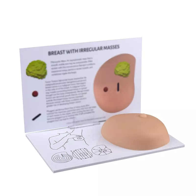 MODELSCART Breast Self-Examination with Irregular Masses Model, Full Size, Made of Silicone for Medical Education & Training, RX-3401