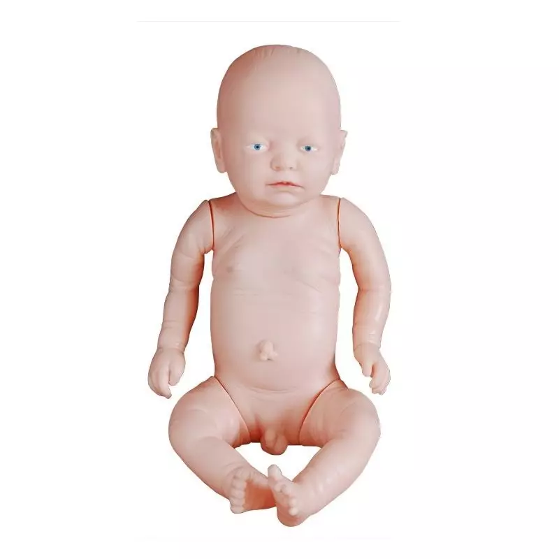 MODELSCART New Born Baby Model Male, Made of Hard Plastic for Medical Education & Training, XC-409A