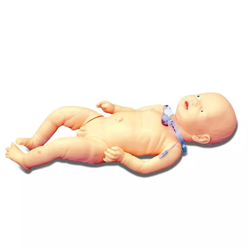 MODELSCART Life Size Infant Tracheostomy Care Model Made of Soft Plastic for Medical Education & Training, RX-409D
