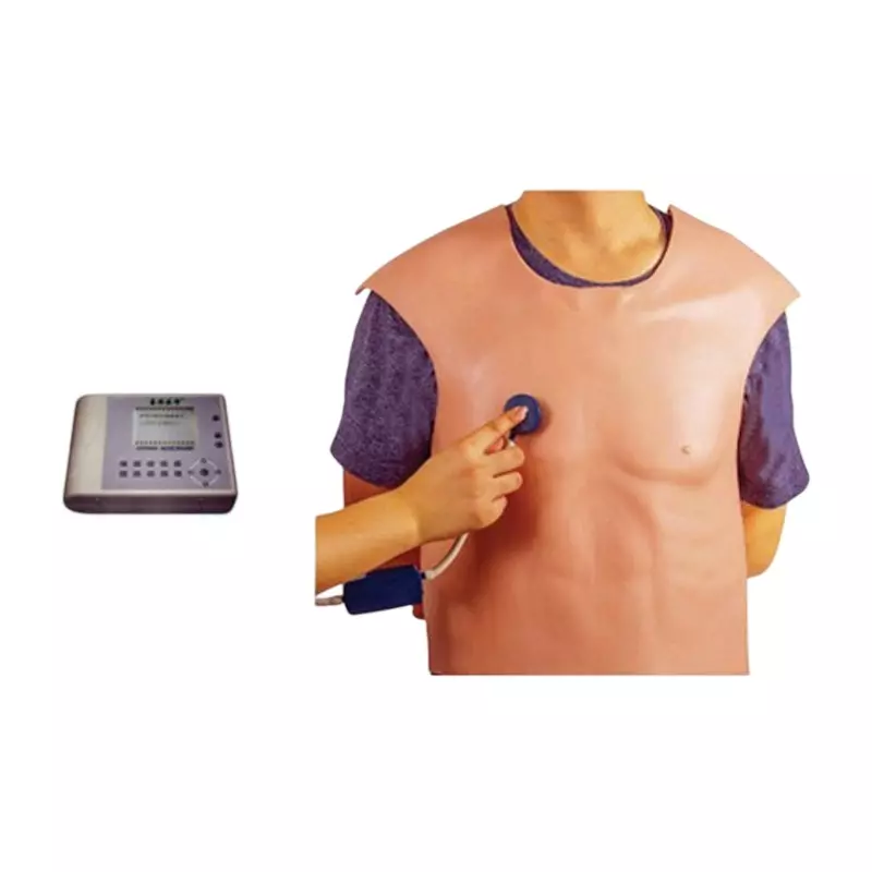 MODELSCART Cardiopulmonary Auscultation Training Vest Silicone Body for Training Medical Students, RX-XD-1