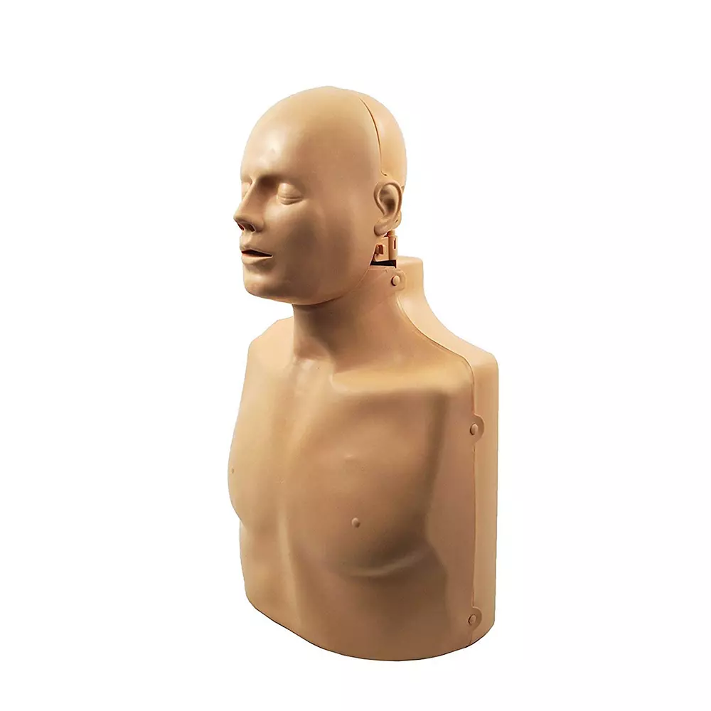 Zesco India Life Size 2 in 1 Simulator Half Body CPR Training Manikin Skin Body for Biology and Medical Labs, ZESCO- MB001